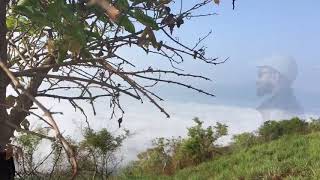preview picture of video 'Wayanad ||Kurumbalakotta || Kuruva Island'