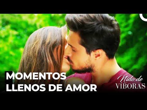 Sorpresa De Ejder - Nido De Víboras Capitulo 5 (Dobladas en Español)