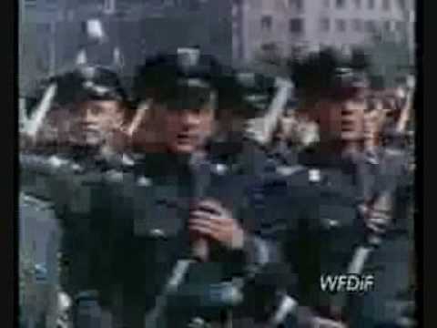 Achtung ! Polish troops are attacking  !