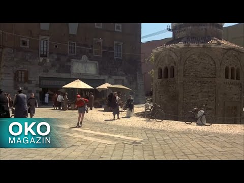 Oko magazin: Zoran Milutinović - Branio sam Ivu Andrića