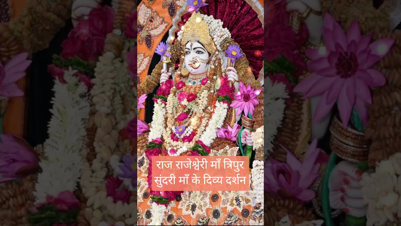 🌺अखिल ब्राहांड नायिका माँ त्रिपुर सुंदरी की जय🙏🌺 #maadurga #tripureswari #jaimatadi #shortsfeed#vira