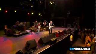 Elvis Costello &amp; The Imposters Perform &quot;Pump It Up&quot; at Gathering of the Vibes 2011