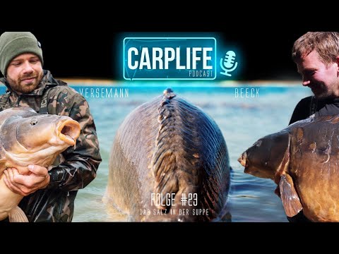 CARPLIFE Podcast #23 Das Salz in der Suppe