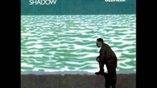 Mike Oldfield feat. Maggie Reilly - Moonlight Shadow (12