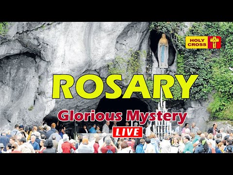 🔴 LIVE -25-01-2026 @ Holy Rosary from Lourdes Grotto | Glorious Mystery | Holy Cross Tv