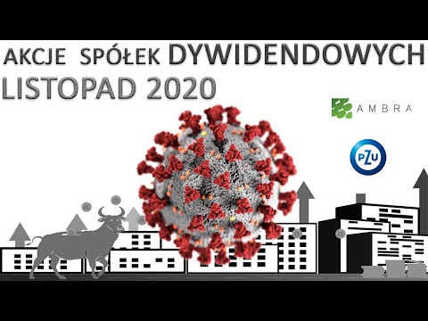 15. MojeIKE - Listopad 2020 - spółki dywidendowe - PZU, Ambra