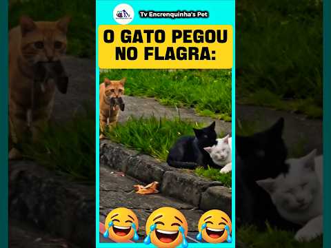 O Rato amou o final😁 #fail #animaisfofos #gatosfofosengraçados #shortsviral