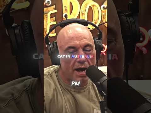 The man who broke David Goggins' pull-up record.🥶 – Truett Hanes