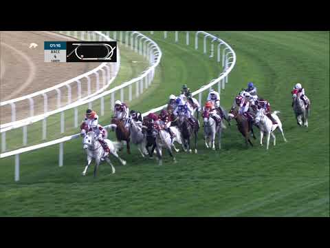 DAHRA-RM30-R4-20.02.2020 PUREBRED ARABIAN HANDICAP