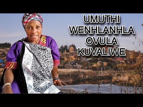 Umuthi Wenhlanhla Ovula Izinto Ezivalekile