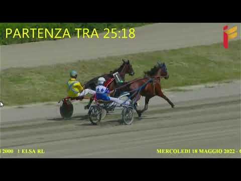 Prova di qualifica del 18 Maggio 2022 - 2 Anni - Metri 2000