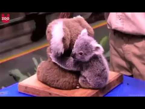 CERUL NE VORBEȘTE ȘI NE AVERTIZEAZĂ MESAJ  PROFETIC