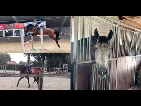 Paarden trainen & concours staphorst! 💙/ vlog 6 | Kimberly knol