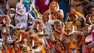 Tiger Dance P-03 2023