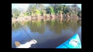 preview picture of video 'Australian bass trolling session pt1.wmv'