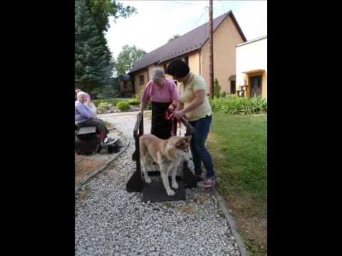 Film Czworonożny przyjaciel DPS Karwodrza