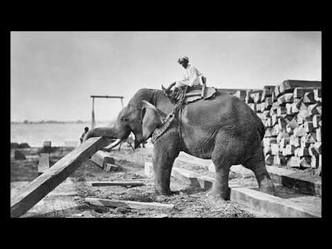 Lied vom achten Elefanten / Paul Dessau