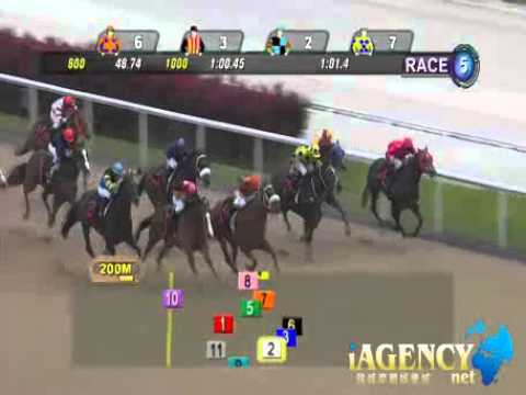 SINGAPORE RACE 19/01/2014 RACE 5 - iAgencyNet.com