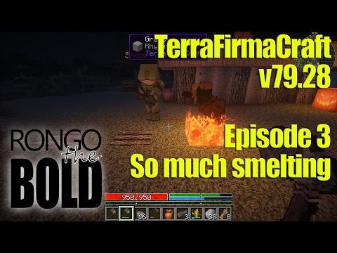 TerraFirmaCraft co-op adventures - Episode 3
