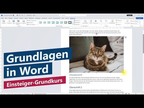 Word Basics – Basics for beginners in 23 chapters – Microsoft 365 Word Tutorial