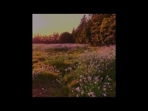 [FREE] Frank Ocean X Piano Ballad Type Beat - "this is falling in love"