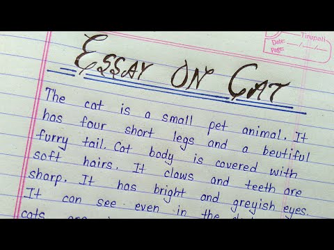 Write an essay on cat in english