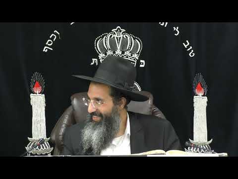 הלכות כבוד רבו ותלמיד חכם - יא' - שימוש תלמידי חכמים | יורה דעה - סימן רמב | חלק 293 | הרב שי עובד