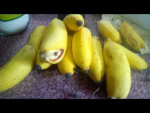 download lagu mp3 mp4 Banana Shake Recipe Filipino, download lagu Banana Shake Recipe Filipino gratis, unduh video klip Banana Shake Recipe Filipino