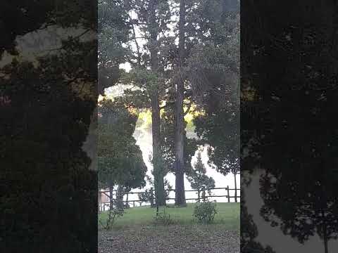 San Martín de los Andes #neuquen #sanmartindelosandes