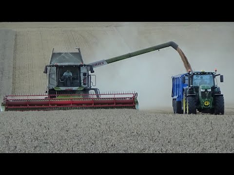 Harvest 2020 - Combining Wheat with NEW Claas Lexion 7500 & Carting with John Deere 6215Rs at dusk