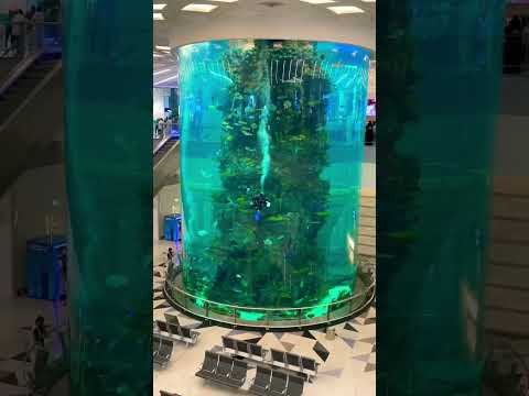 One of the biggest fish tank tower | jeddah airport