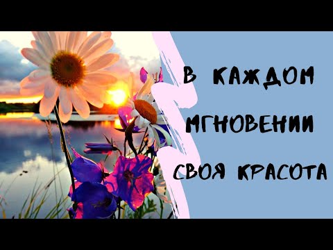 Желаю Вам чтобы в Душе был Баланс !