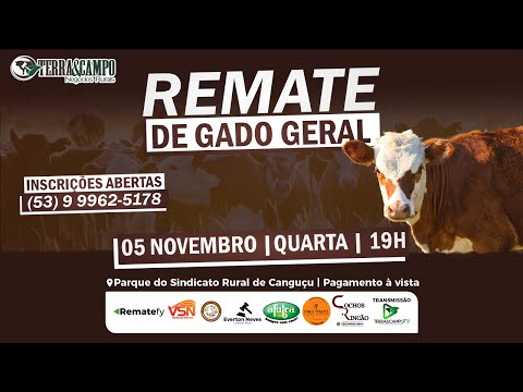 REMATE DE GADO GERAL - CANGUÇU | TERRA&CAMPO NEGÓCIOS RURAIS