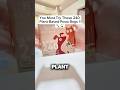 Plant Based Earth Friendly Pet N Pet Compostable Poop Bags EcoPetCare