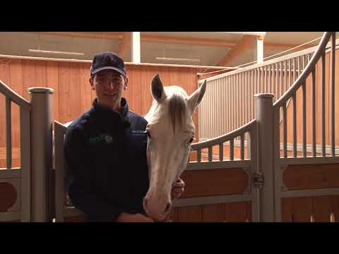 Jamie Gornall, International Showjumper