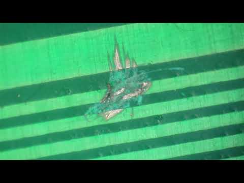 Damaged PCB Trace Repair Tutorial