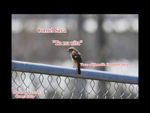 Cornel Sava “Tu nu uita”