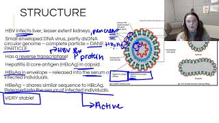 2018 2019HBV & HDV 1