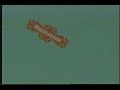 Snee Oosh Nickelodeon 1996 2003