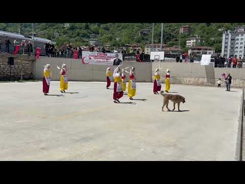Bozkurt Çok Programlı Anadolu lisesi Edirne Yöresi Halk Oyunu 2024
