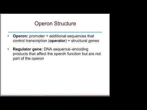 Chapter 16 Control of Gene Expression in Prokaryotes