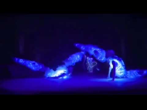 Light Beings TSE Gala Awards 2012