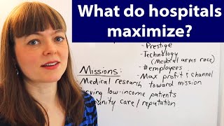What do Not-For-Profit Hospitals Maximize?