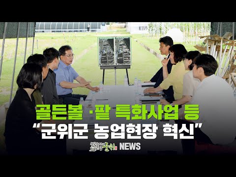 [군위뉴스] 골든볼 ·팥 특화사업 등 / 군위군 농업현장 혁신