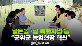 골든볼 ·팥 특화사업 등 / 군위군 농업현장 혁신