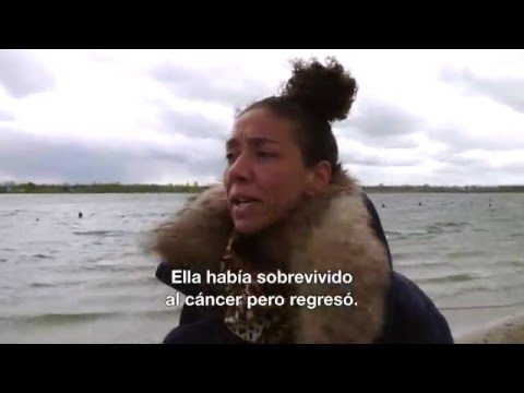 On The Fly: UFC Fight Night Rotterdam - Ep 2