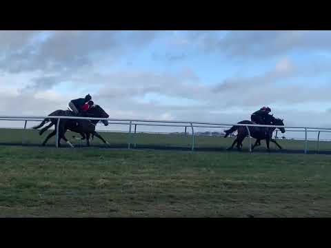 Picota & AG leading Kodiac colt & Adaayinourlife, Heeraat out the Back 26th March 2021