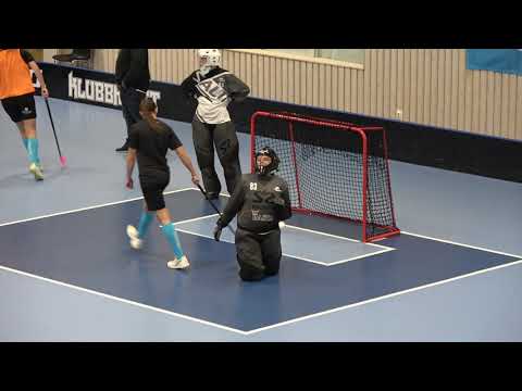 201010 Uppv Allsvenskan DAM Lindås Rasta IBK - Craftstadens IBK Oskarshamn (2-1) Salming Arena