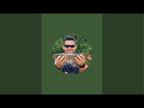 francelino pescador 🇧🇷 está ao vivo!