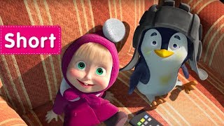 Download lagu Masha and the Bear - All in The Family 🍔  (Lunch) mp3